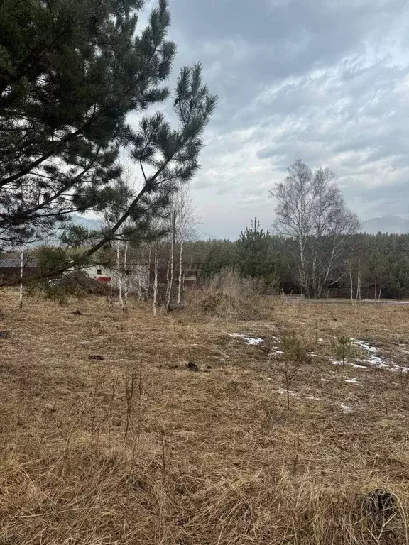 Участок в Алтай, Чемальский район, с. Чемал ул. Кольцевая (16.5 сот.) - Фото 1