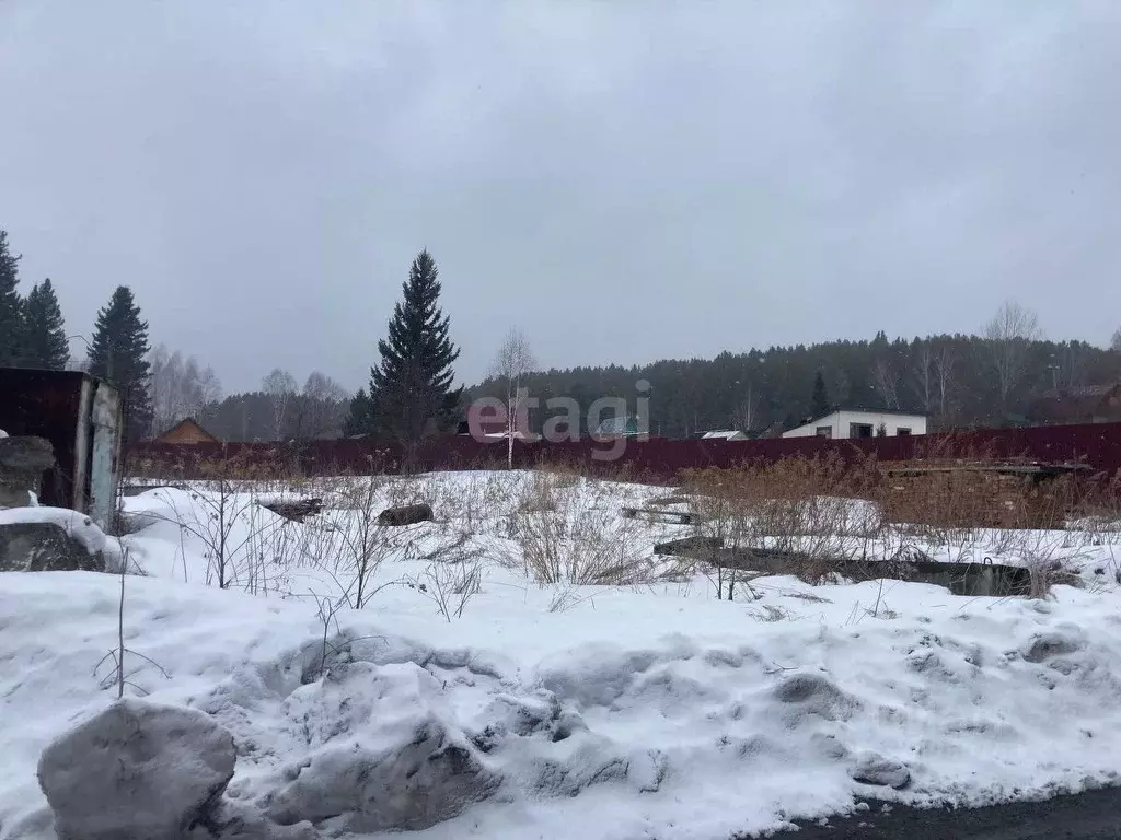 Участок в Томская область, Томский район, Богашевское с/пос, Лесник-2 ... - Фото 1