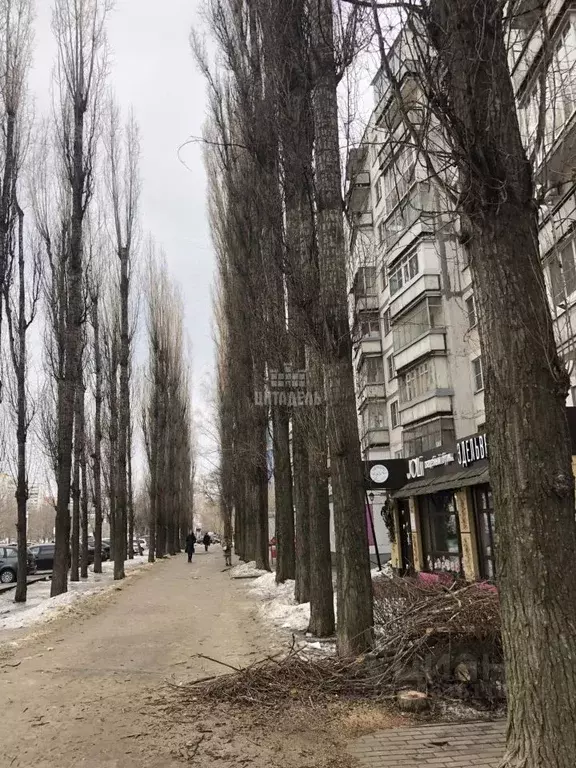 Помещение свободного назначения в Воронежская область, Воронеж ул. ... - Фото 1