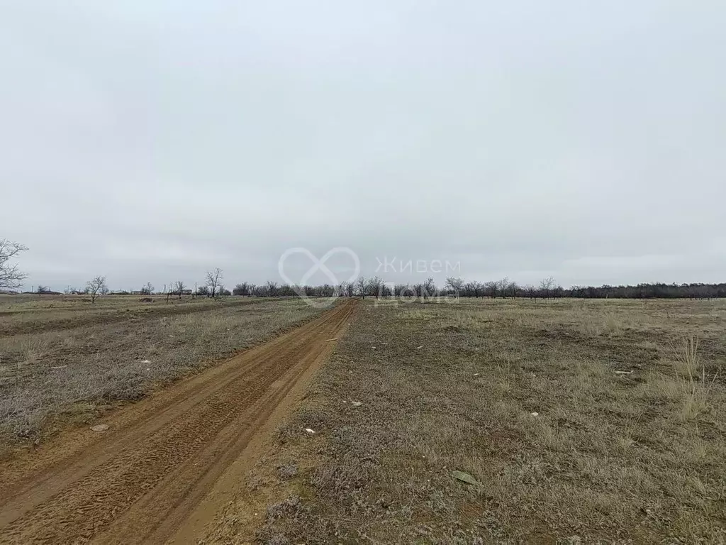 Участок в Волгоградская область, Городищенский район, Царицынское ... - Фото 1