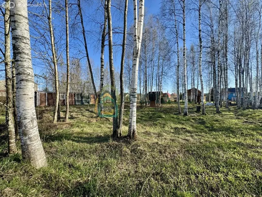 Участок в Плодовское сельское поселение, посёлок Соловьёвка (9.56 м) - Фото 1