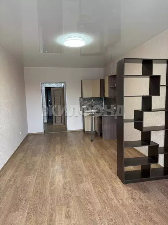 Студия Хакасия, Абакан ул. Некрасова, 45 (29.9 м) - Фото 0