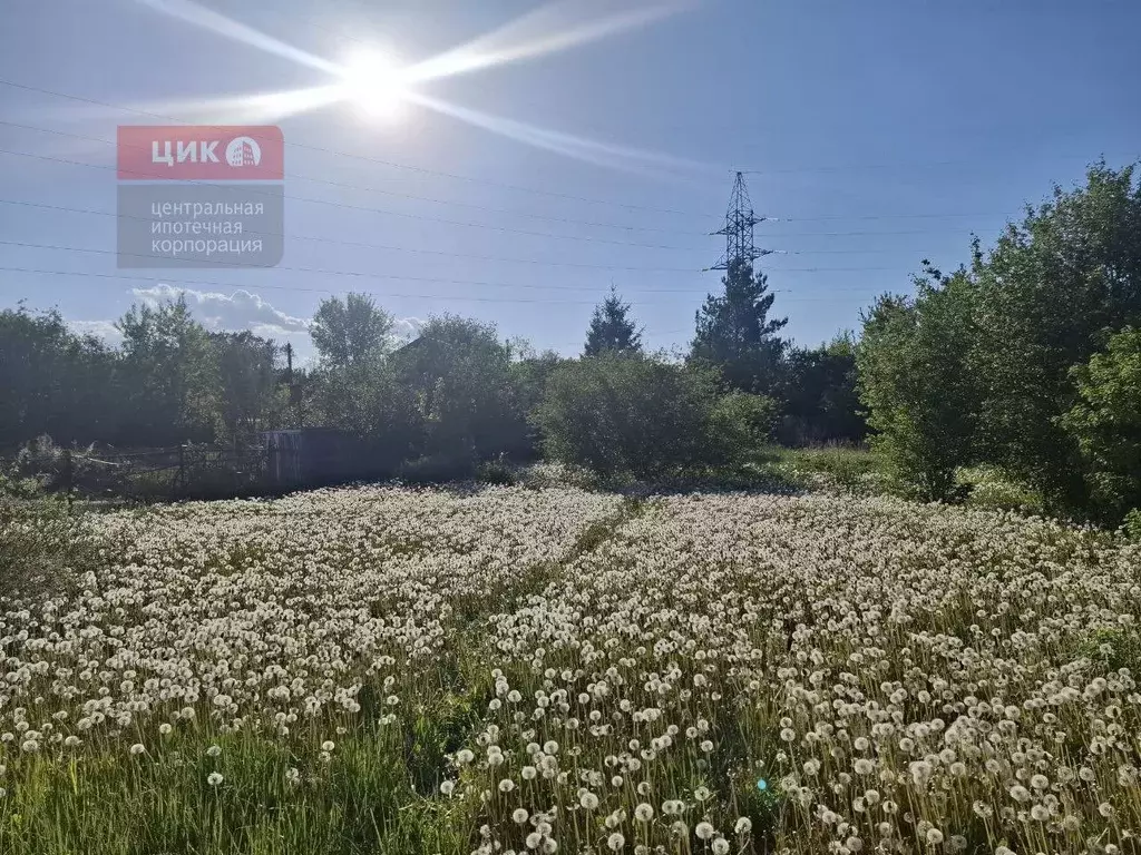 Дом в Рязанская область, Рязань Агрохимик СТ, 30 (30 м) - Фото 1