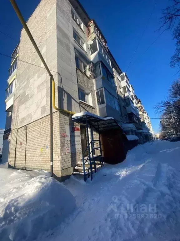 Помещение свободного назначения в Ульяновская область, Димитровград ... - Фото 2