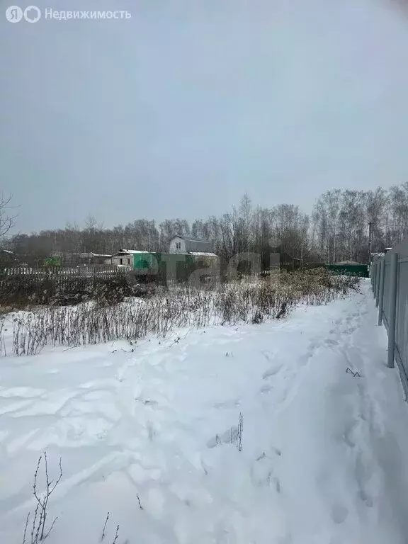 Участок в посёлок городского типа Васильево, дачное некоммерческое ... - Фото 1