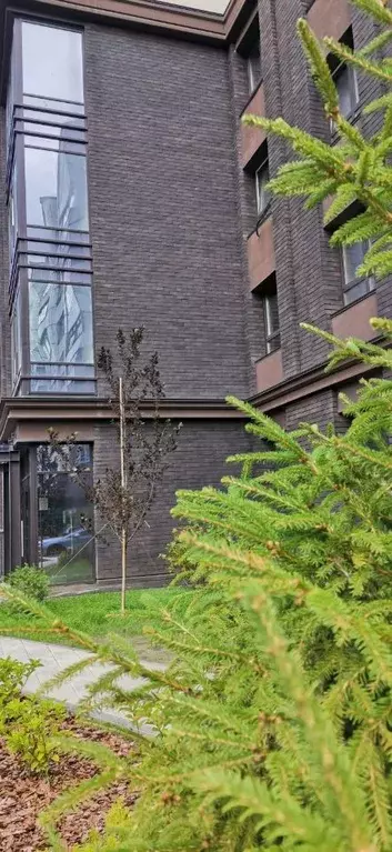 2-к кв. Алтайский край, Барнаул Красноармейский просп., 61Б (65.0 м) - Фото 2