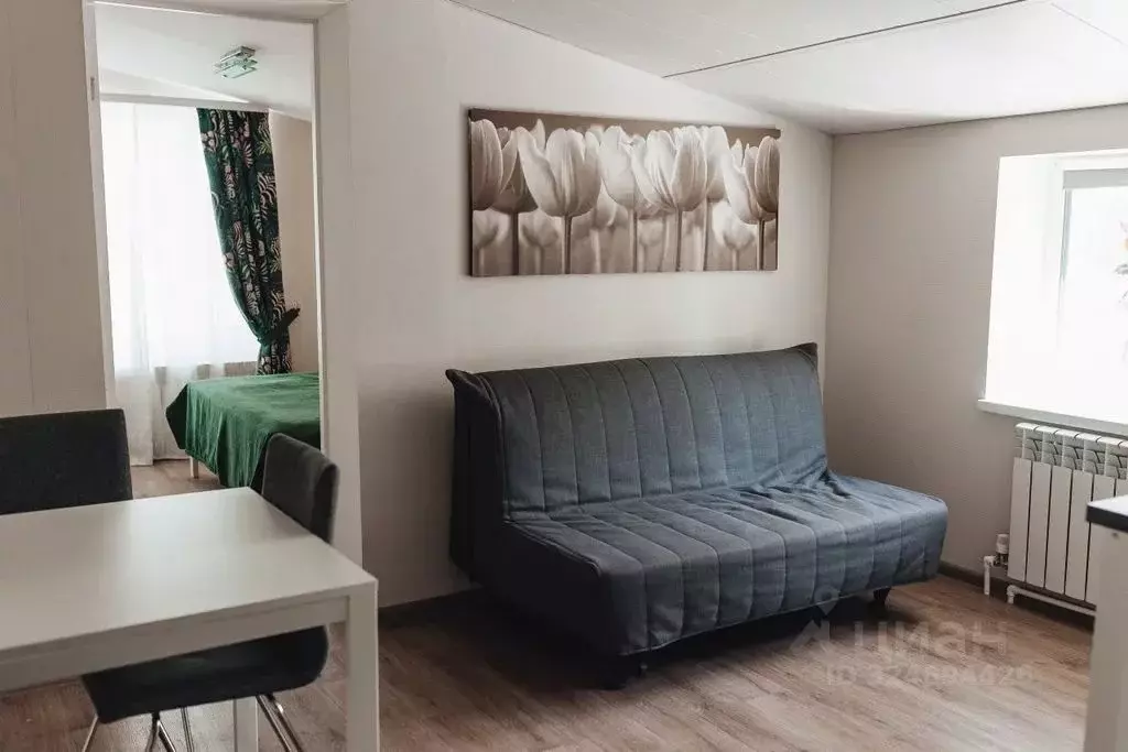 2-к кв. Карелия, Сортавала ул. Бондарева, 43Б (22.0 м) - Фото 1