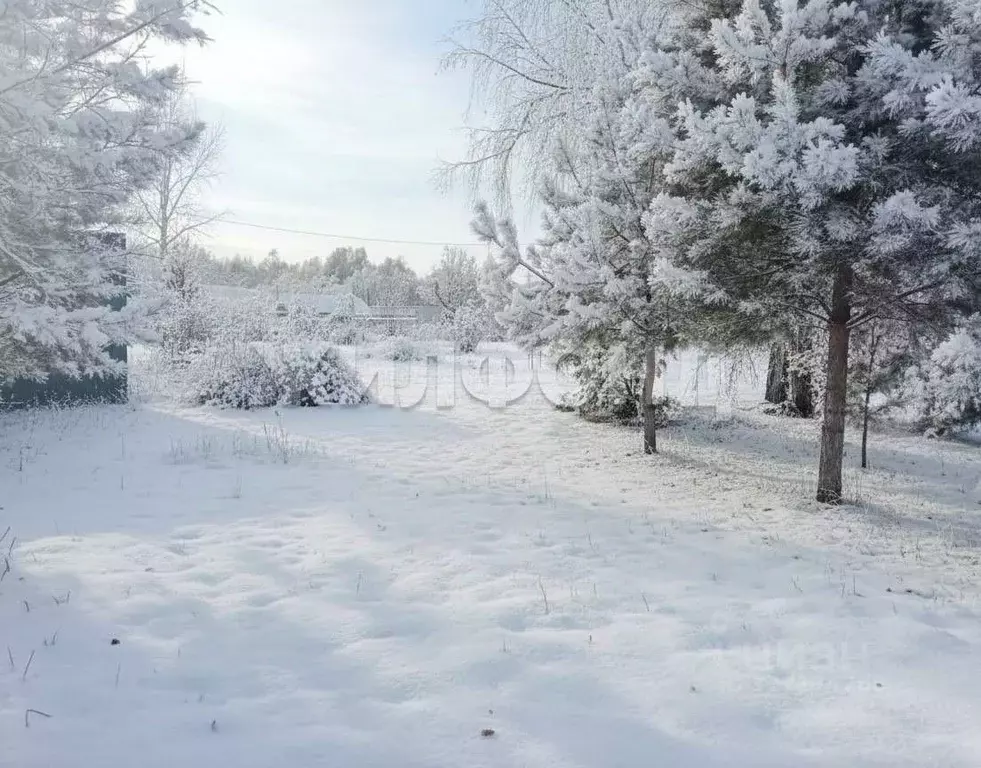 Участок в Новосибирская область, Колыванский район, Аква СНТ  (12.0 ... - Фото 2