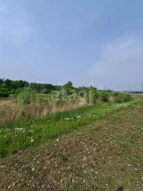 Участок 11,7 сот. (СНТ, ДНП) - Фото 1