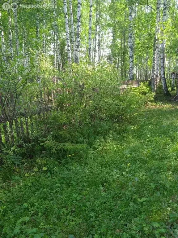 Участок в Еловский сельсовет, садоводческое некоммерческое ... - Фото 0