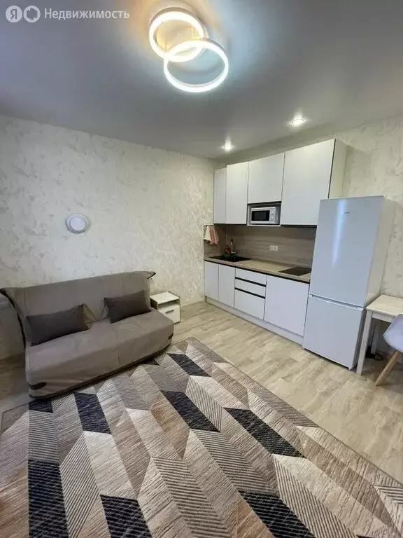 Квартира-студия: Ростов-на-Дону, переулок Белоусова, 10/2 (30 м) - Фото 1