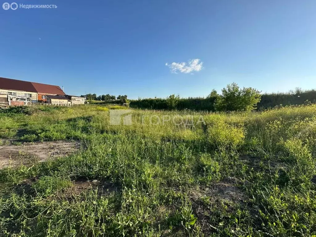 Участок в Центральный, Янтарная улица, 109 (10 м) - Фото 1
