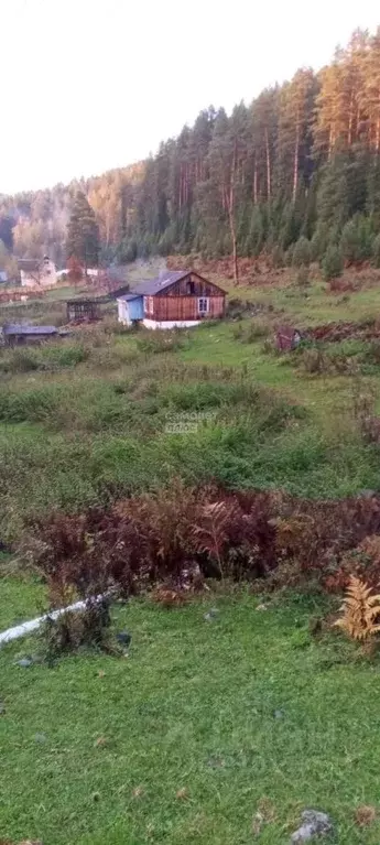 Участок в Алтай, Турочакский район, с. Кебезень Нагорная ул. (39.76 ... - Фото 0