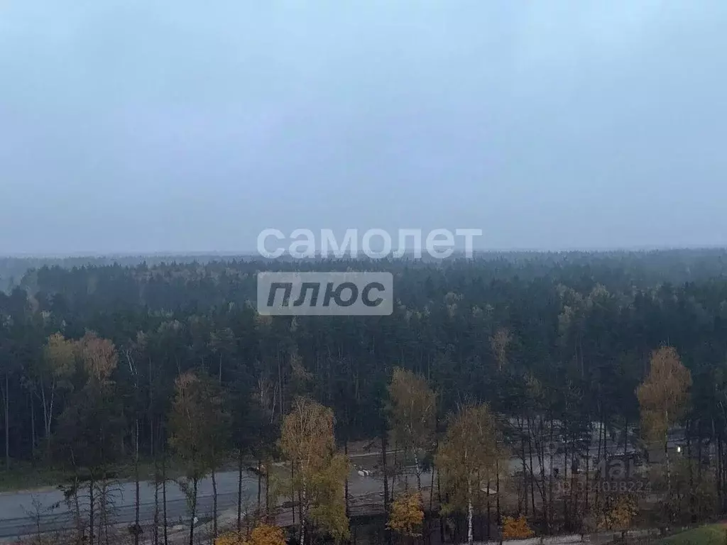 Студия Московская область, Люберцы городской округ, Мирный пгт ул. ... - Фото 2