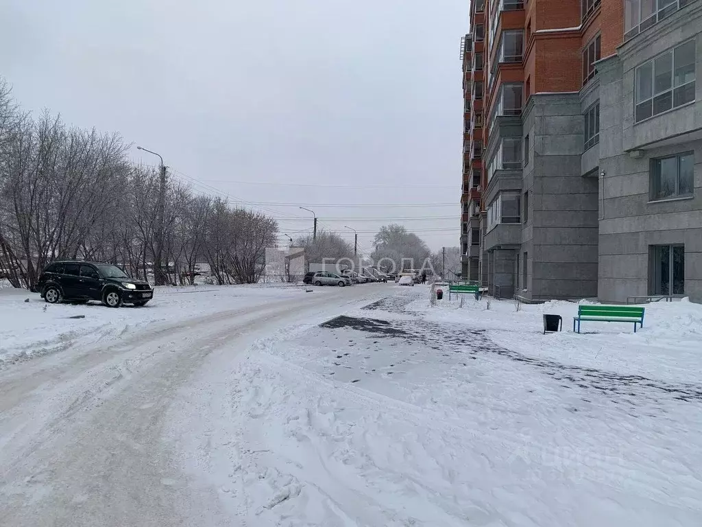 Помещение свободного назначения в Новосибирская область, Новосибирск ... - Фото 1