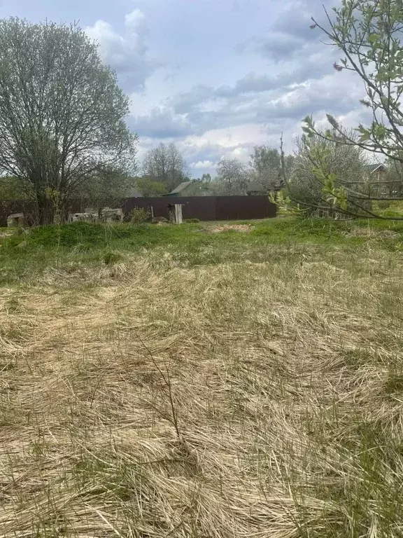 Участок в Московская область, Наро-Фоминский городской округ, д. ... - Фото 0