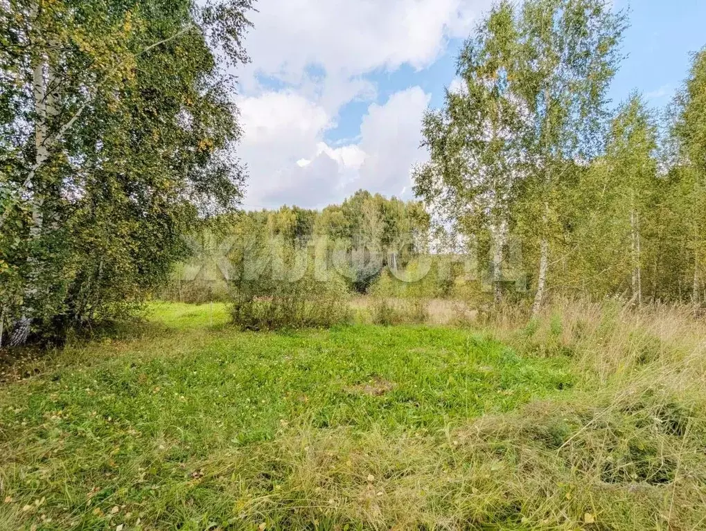 Участок в Томская область, Томский район, Богашевское с/пос, с. ... - Фото 2