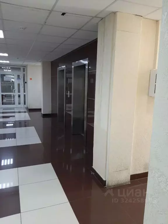 Помещение свободного назначения в Новосибирская область, Новосибирск ... - Фото 1