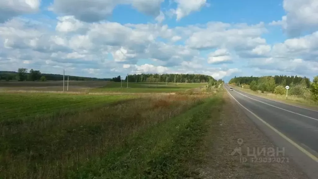 Участок в Пермский край, Ильинский муниципальный округ, с. ... - Фото 2