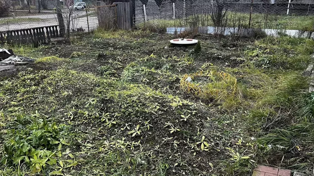 Дом 45 м на участке 2 сот. - Фото 1