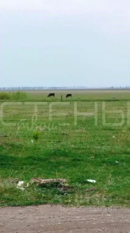 2-к кв. Амурская область, Благовещенский район, с. Дроново Новый пер., ... - Фото 2