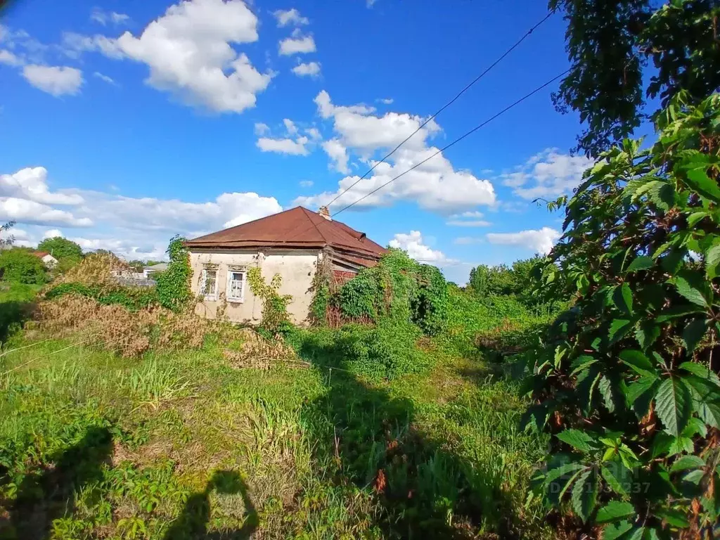 Участок в Белгородская область, Валуйский муниципальный округ, Уразово ... - Фото 2