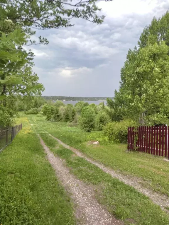 Участок в Вологодская область, Кирилловский муниципальный округ, д. ... - Фото 2