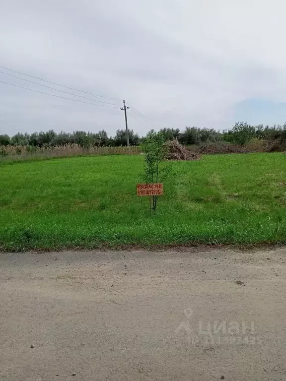 Участок в Ростовская область, Кагальницкий район, Иваново-Шамшевское ... - Фото 0