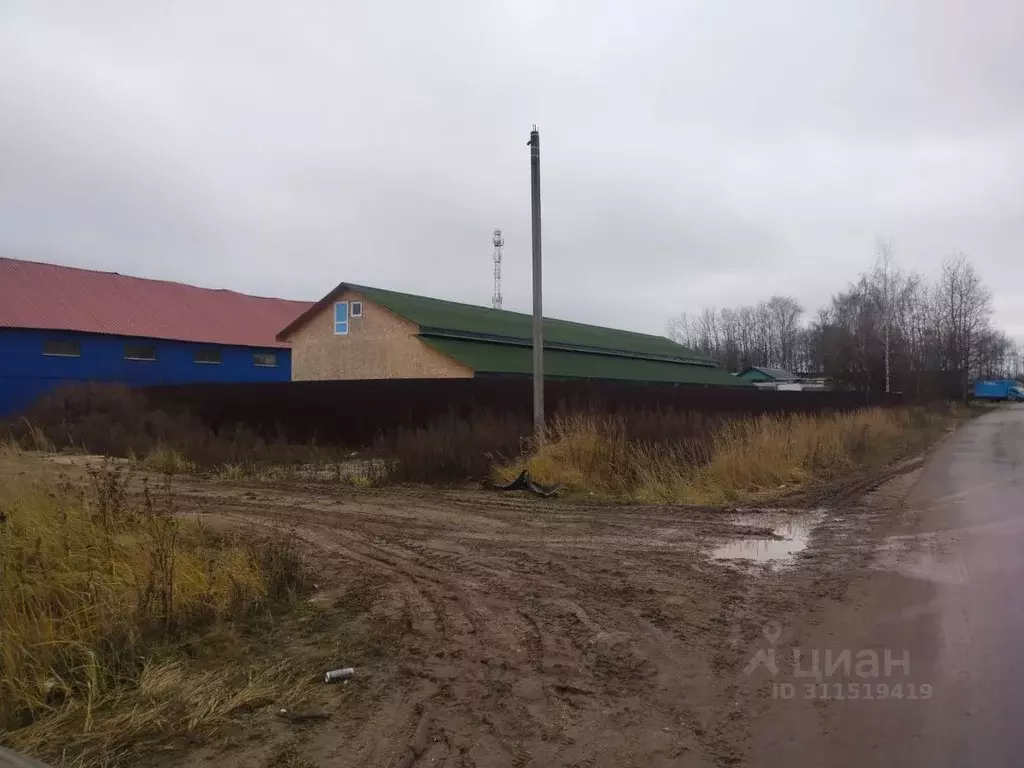 Помещение свободного назначения в Московская область, Пушкинский ... - Фото 0