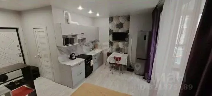 Студия Красноярский край, Красноярск ул. Борисова, 42 (21.0 м) - Фото 2