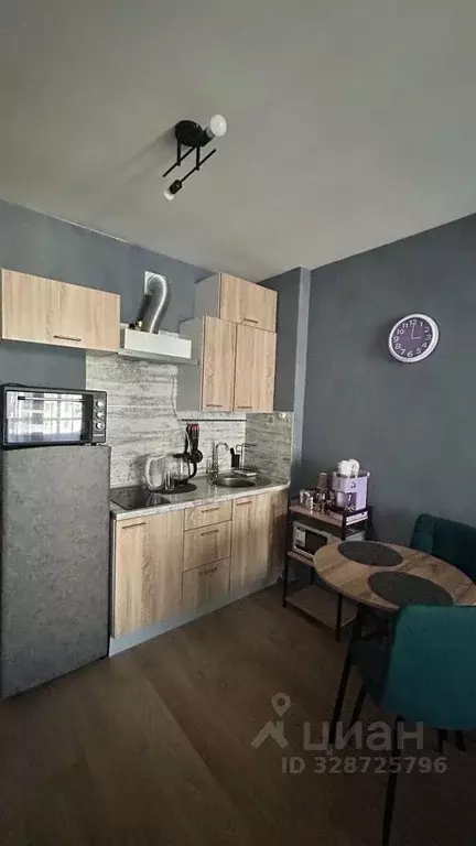 Студия Санкт-Петербург просп. Ветеранов, 171к1 (24.5 м) - Фото 1