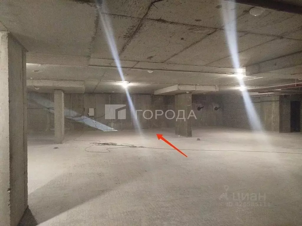 Гараж в Алтайский край, Барнаул ул. Папанинцев, 145 (19 м) - Фото 1