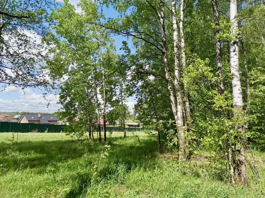 Участок в Московская область, Дмитровский муниципальный округ, д. ... - Фото 1