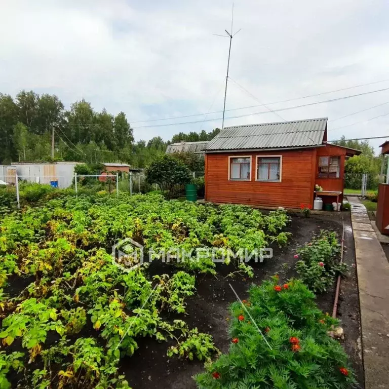 Дом в Челябинская область, Сосновский муниципальный округ, Дубровский ... - Фото 2