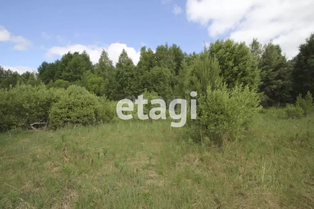 Участок в Тюменская область, Нижнетавдинский муниципальный округ, ... - Фото 2