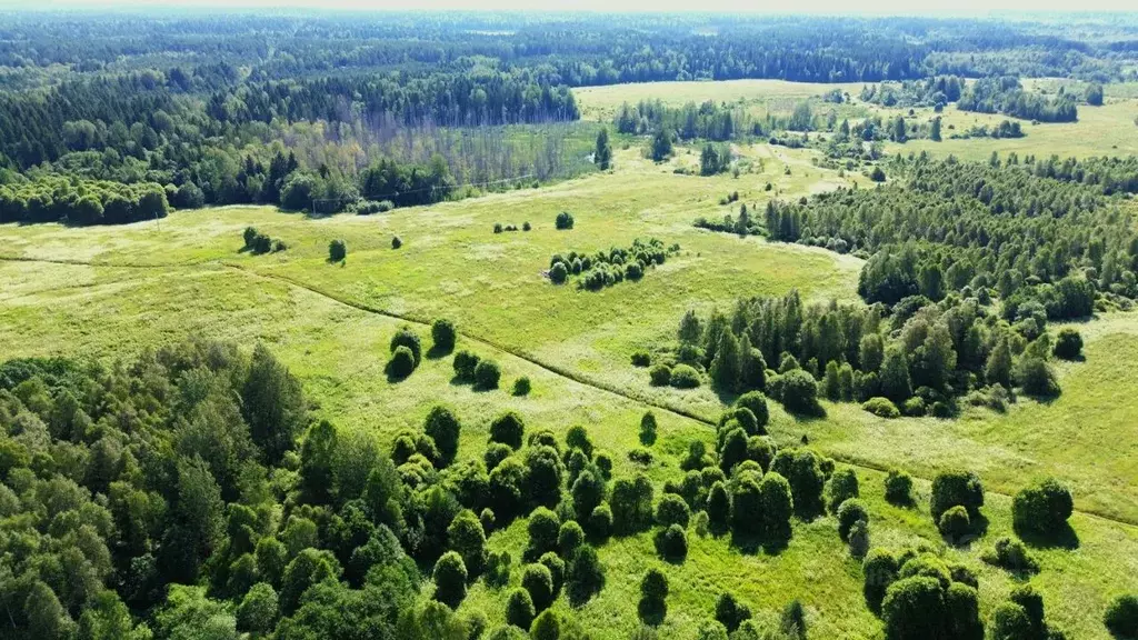 Участок в Тверская область, Торопецкий муниципальный округ, д. ... - Фото 1