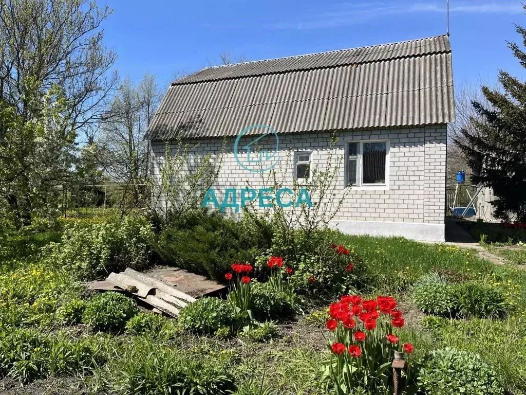 Дом в Белгородская область, Чернянский район, Русскохаланское с/пос, ... - Фото 2