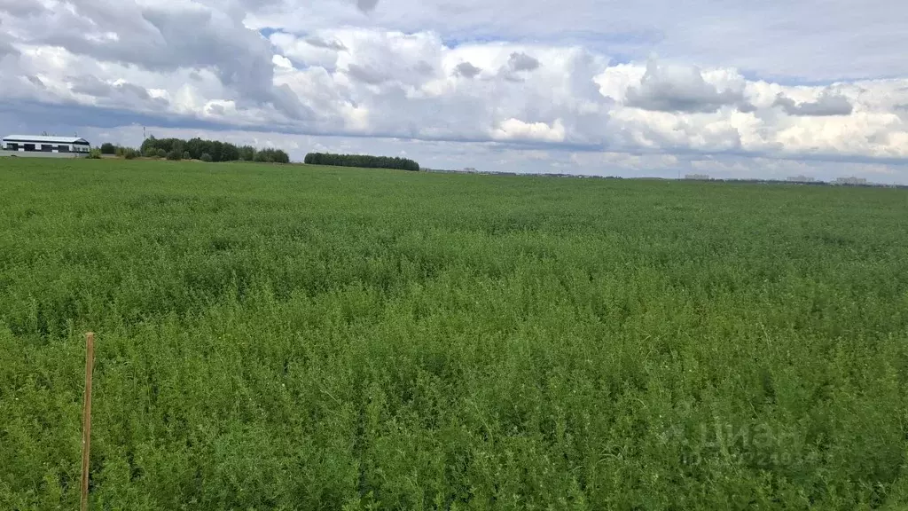 Участок в Чувашия, Чебоксарский муниципальный округ, Синьяльское с/пос ... - Фото 1