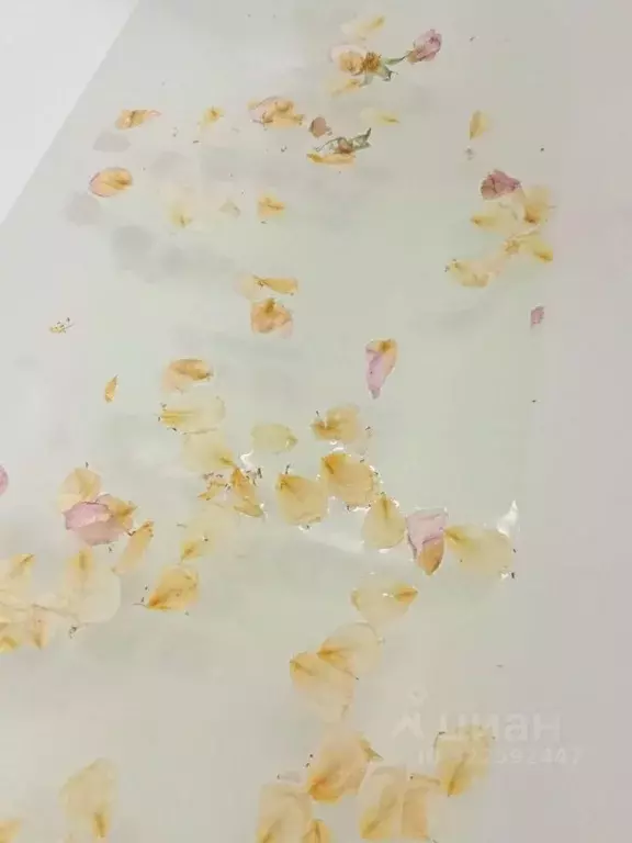 Участок в Саха (Якутия), Якутск городской округ, с. Маган ул. ДАРС ... - Фото 2