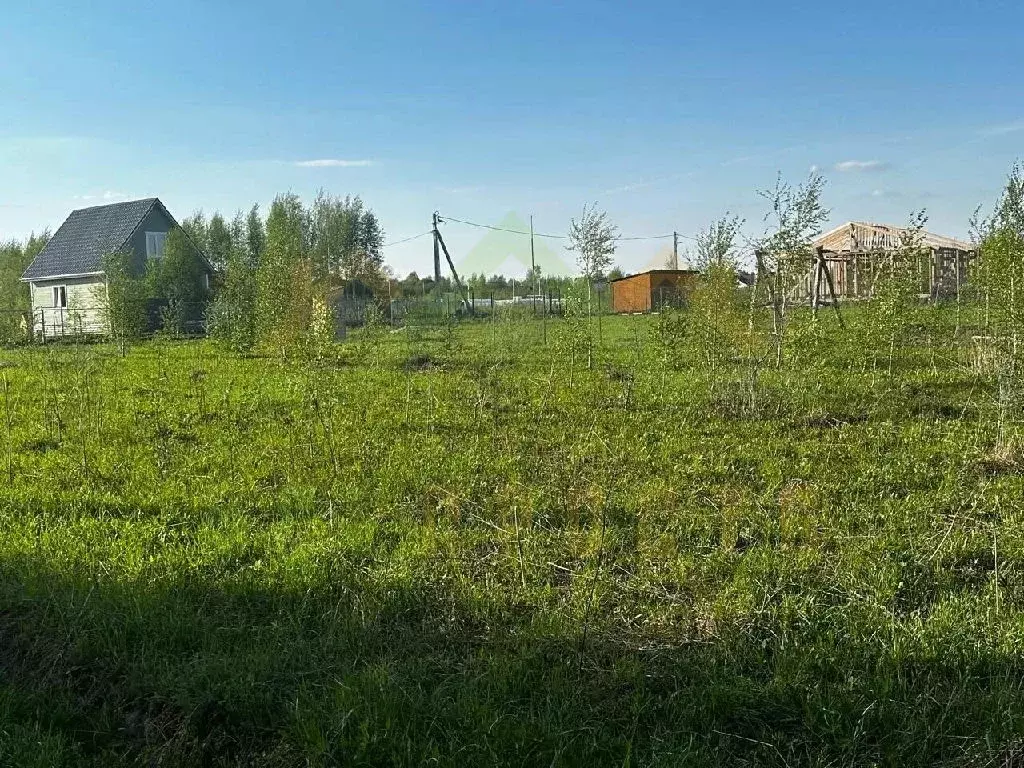 Продается участок в д. Проскурниково - Фото 2