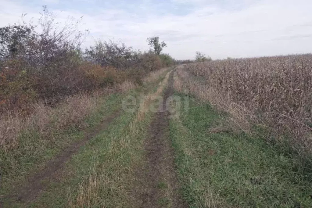 Участок в Ингушетия, Назрановский район, с. Яндаре  (70.0 сот.) - Фото 1