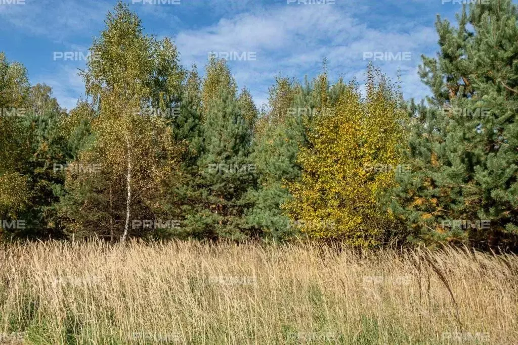 Участок в Московская область, Истра городской округ, Миллениум Парк кп ... - Фото 1