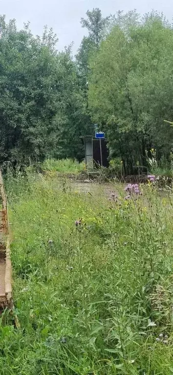 Участок в Иркутская область, Иркутский муниципальный округ, Маркова рп ... - Фото 2