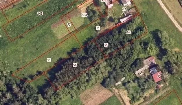 Участок в Московская область, Зарайск муниципальный округ, д. Мишино ... - Фото 1