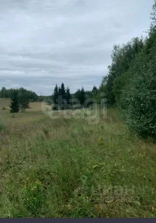Участок в Ленинградская область, Всеволожский район, Романовское ... - Фото 0