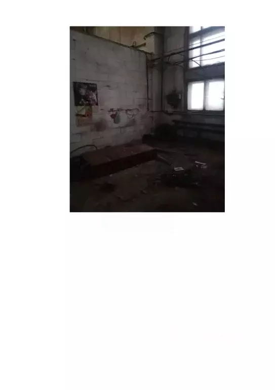 Помещение свободного назначения в Новосибирская область, Новосибирский ... - Фото 0