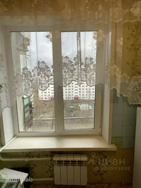 1-к кв. Орловская область, Орел Московское ш., 169 (34.5 м) - Фото 1