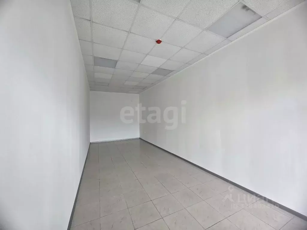 Помещение свободного назначения в Краснодарский край, Новороссийск ул. ... - Фото 1