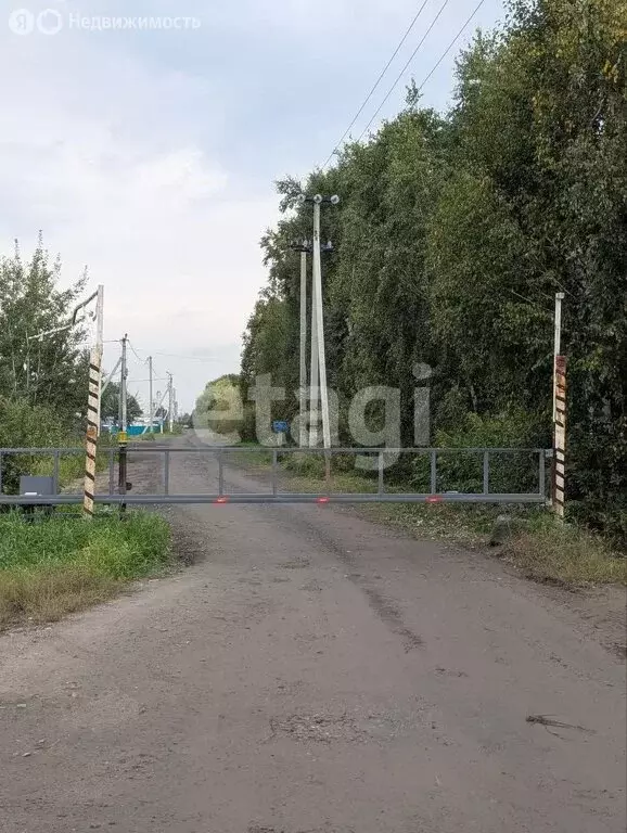 Участок в Тюмень, садовое товарищество Поле Чудес, Западная улица (10 ... - Фото 1
