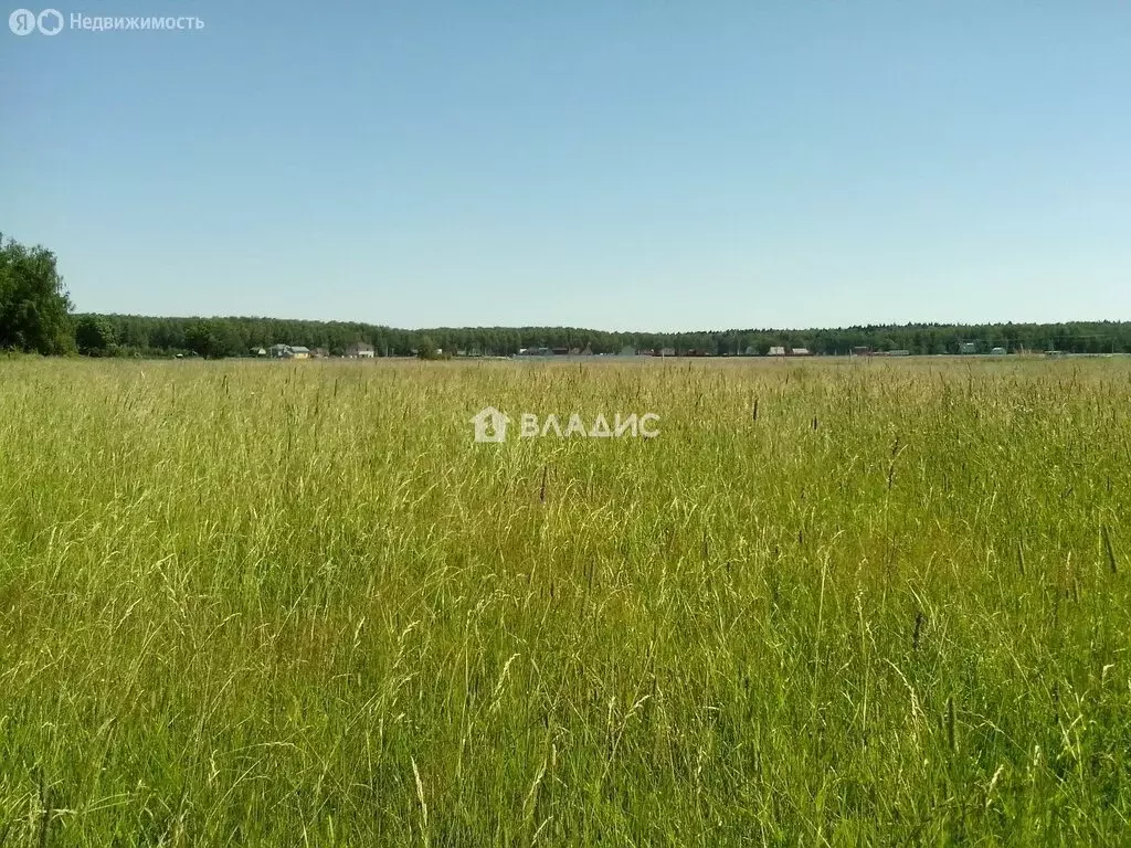 Участок в Ивановский муниципальный округ, село Елюнино (17 м) - Фото 2